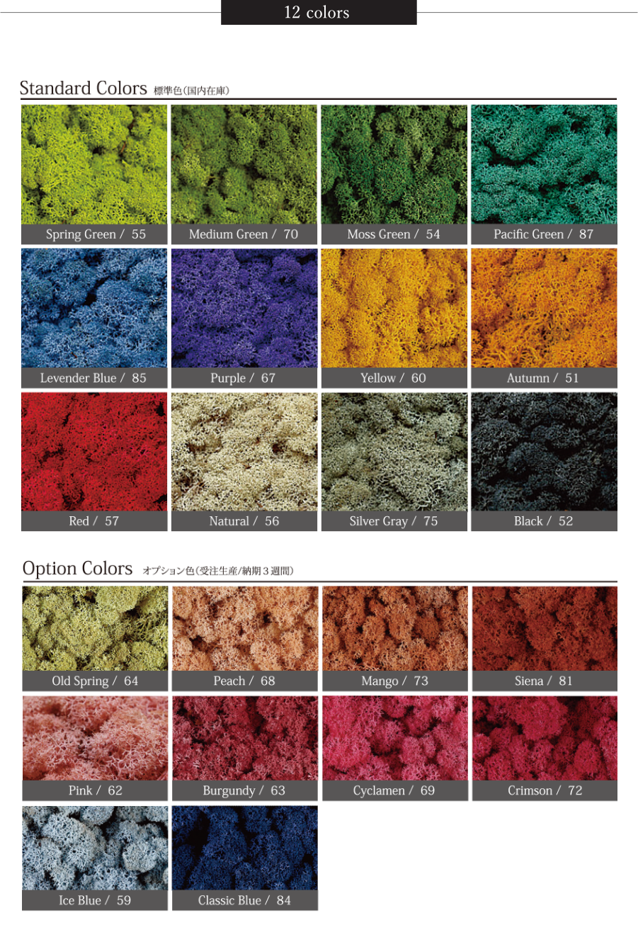 カラバリエーション