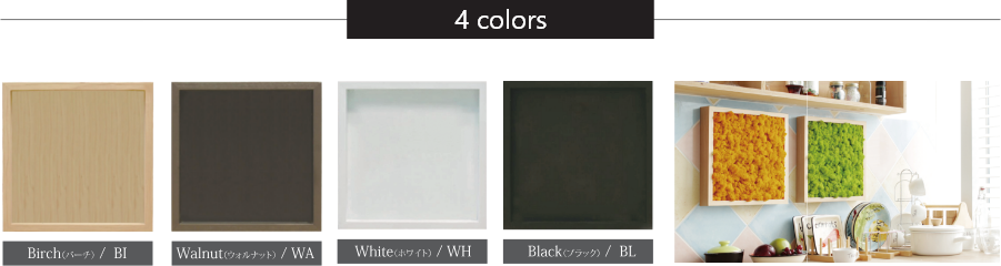 フレームバリエーション