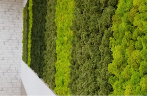 天然ミネラルの保存処理